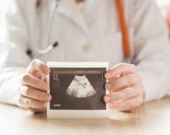 Gynecologist Westmead Fertility Centre Westmead