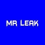 Hours Leak Detection detection Leak water leak Mr