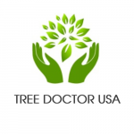 Hours Arborist Doctor USA Tree