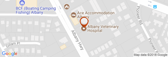 schedule Veterinarian Albany