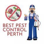 Pest Control Best Pest Control Perth Osborne Park