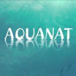 Hours Swimming Lessons Aquanat