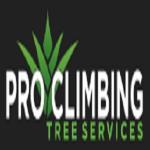 Tree Removal Services Pro Climbing Tree Services Newport