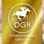 Business Services DGR THOROUGHBRED SERVICES PTY. LTD. Kensington