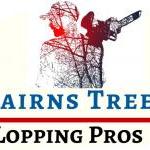 Tree Removal Cairns Tree Lopping Services Edmonton