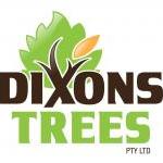 Premier Tree Removal Service Dixons Trees Pty Ltd Springwood