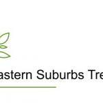 Hours tree removal Eastern Suburbs Tree Services