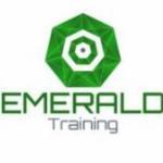 Training Services Emerald Training Virginia