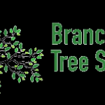 Owner Branch Out Tree Specialist Bondi