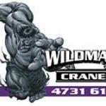 Crane Suppliers & Services Wildmans Cranes Jamisontown Penrith