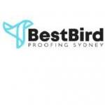 Bird Proofing Best Bird Proofing Sydney Surry Hills
