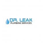 Plumber Dr Leak Sydney Plumbing Services Strathfield South