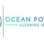 Cleaning services Ocean Power Cleaning 28 Birchgrove Crescent Eastwood， NSW 2122