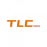 Tree service TLC Trees and Co Ashgrove