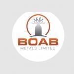 Hours mining machinery Boab Limited Metals