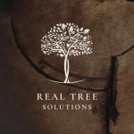 Arborist and tree surgeon Real Tree Solutions Kingsley