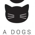 Hours Dog Boarding Domain too Dogs Cats A and