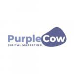 Marketing PurpleCow Digital Marketing Scarborough